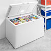 Insignia 13.8 Cu. Ft. Garage Ready Chest Freezer (NS-CZ14WH2-C) - White